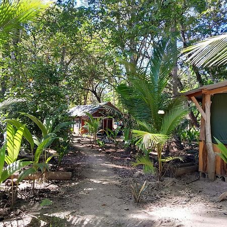 Fully Furnished Family Jungle Tent, Latino Glamping Paquera Kültér fotó