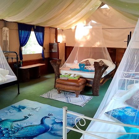 Fully Furnished Family Jungle Tent, Latino Glamping Paquera Kültér fotó
