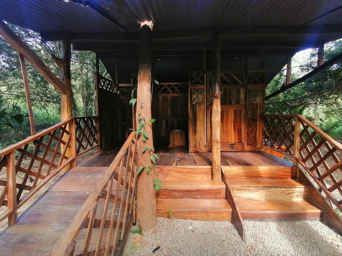 Fully Furnished Family Jungle Tent, Latino Glamping Paquera Kültér fotó