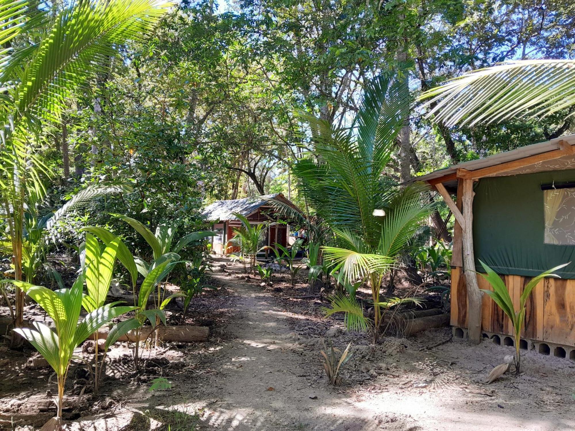 Fully Furnished Family Jungle Tent, Latino Glamping Paquera Kültér fotó