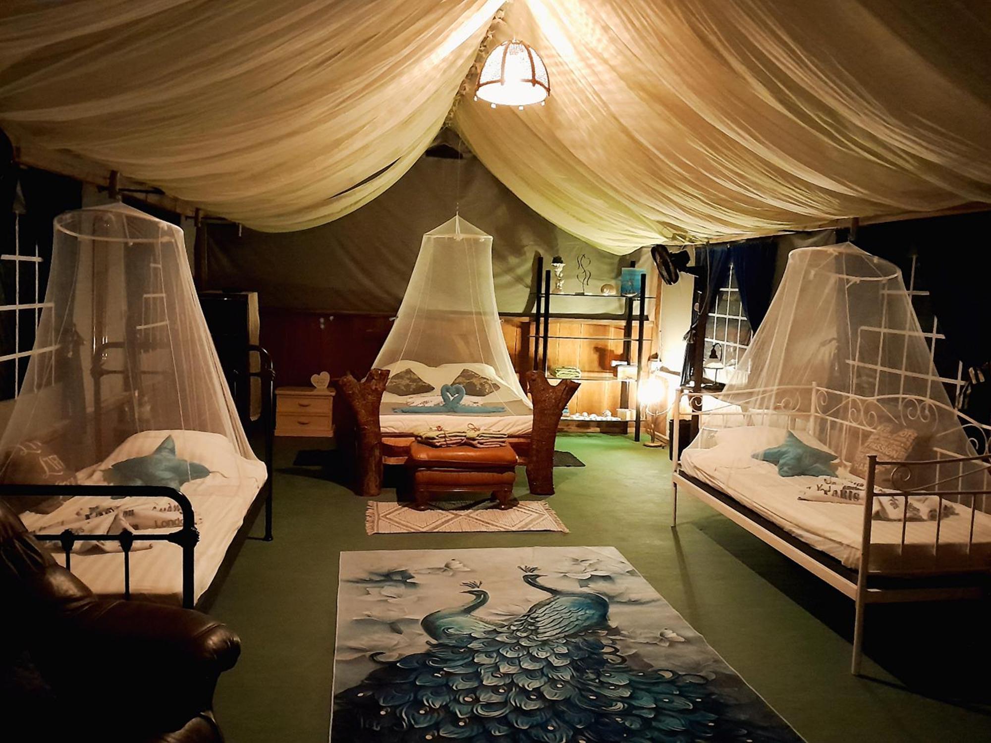 Fully Furnished Family Jungle Tent, Latino Glamping Paquera Kültér fotó