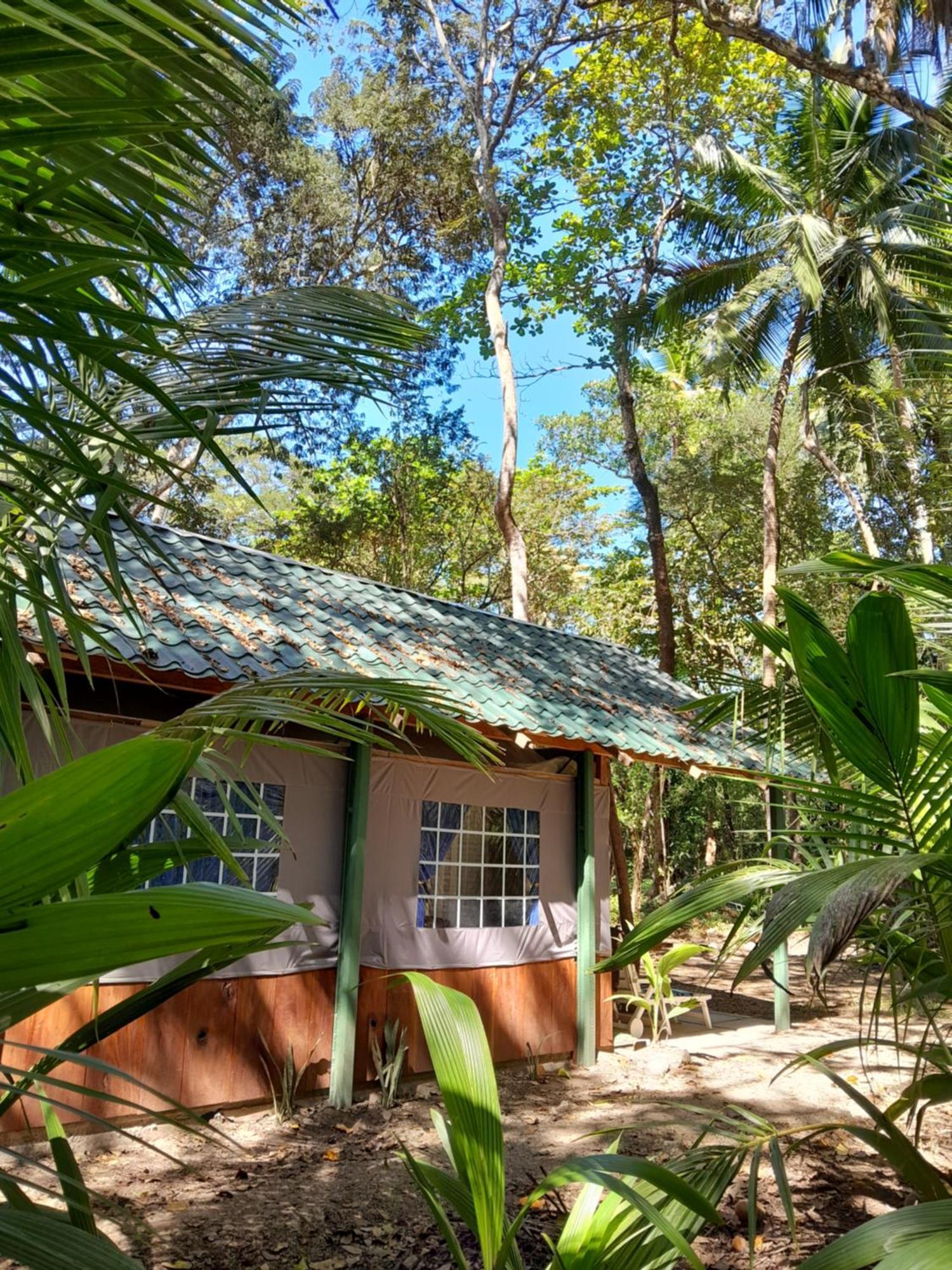 Fully Furnished Family Jungle Tent, Latino Glamping Paquera Kültér fotó