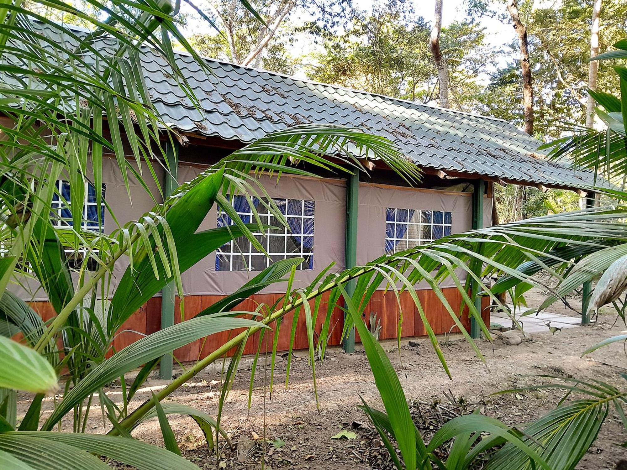 Fully Furnished Family Jungle Tent, Latino Glamping Paquera Kültér fotó