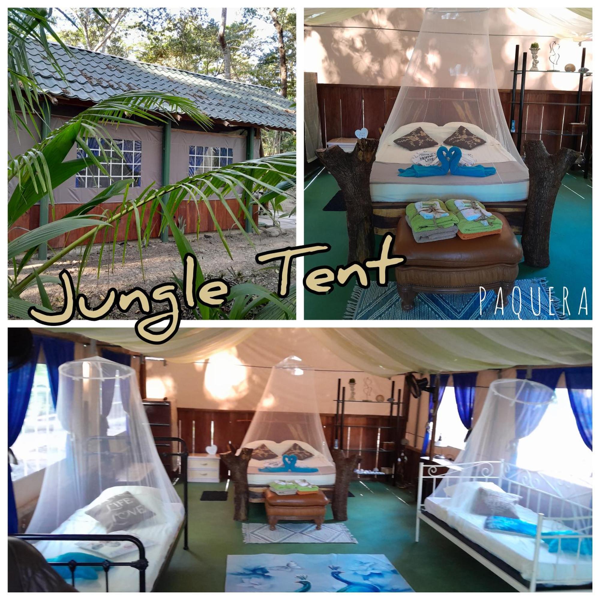 Fully Furnished Family Jungle Tent, Latino Glamping Paquera Kültér fotó