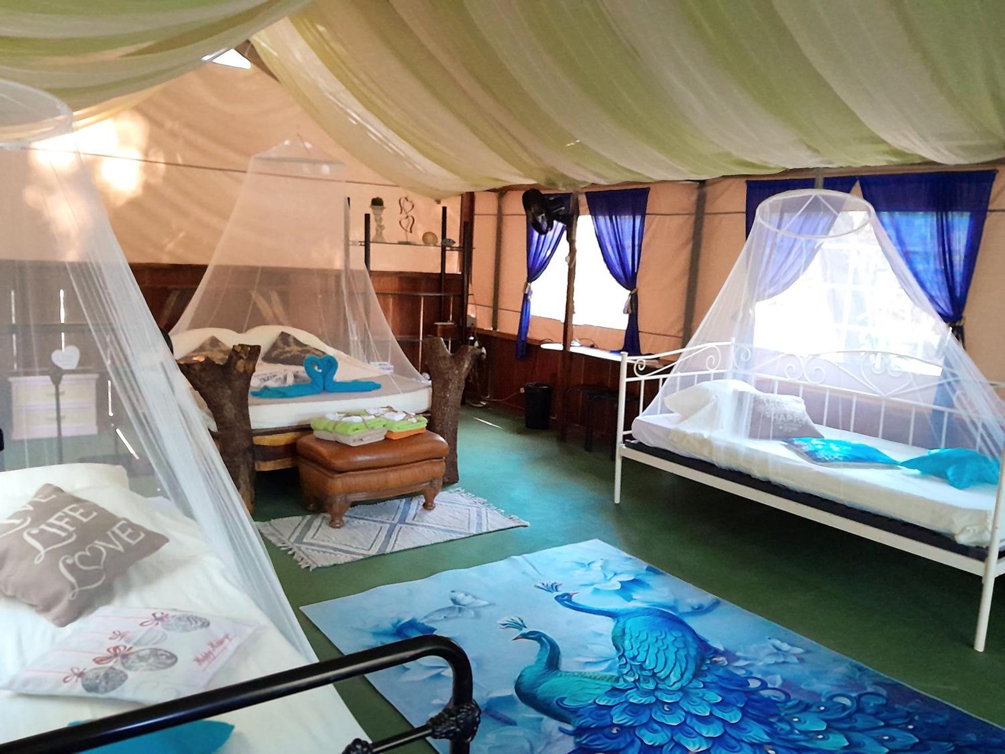 Fully Furnished Family Jungle Tent, Latino Glamping Paquera Kültér fotó